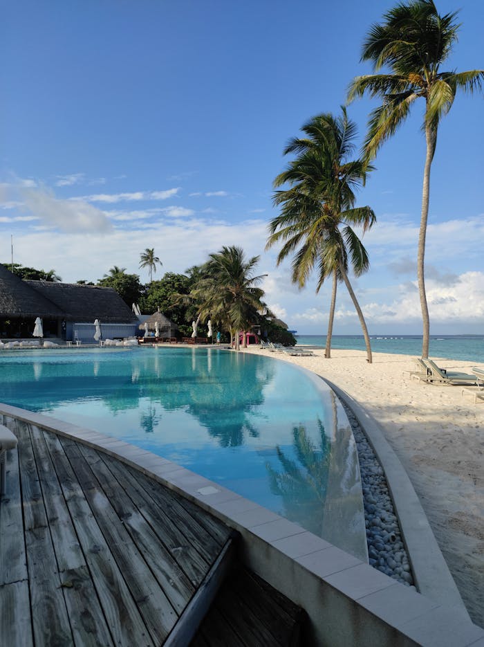 why-choose-us Relaxing beachfront scene at Ifuru Island, Maldives with palm trees and a pristine pool reflecting the sky.