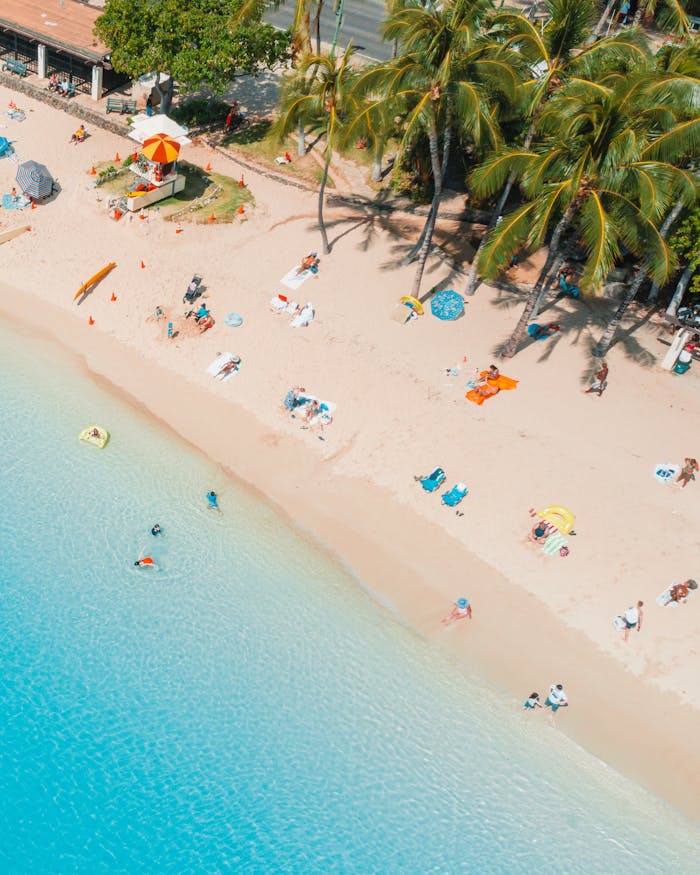 gallery-2 A picturesque aerial view of a tropical beach with tourists enjoying the summer sun and clear blue ocean.